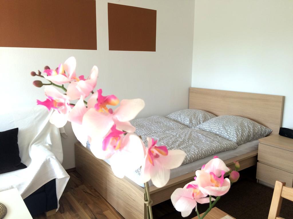 Apartment Sunshine Регенсбург Номер фото